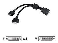 Matrox - DVI-Kabel - LFH 60-Polig (M) bi